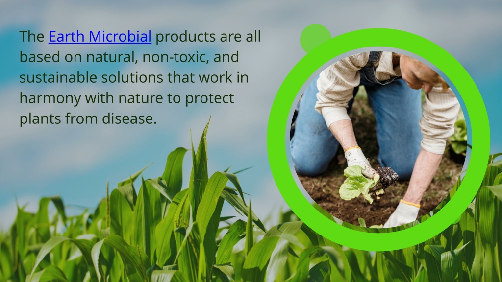 Ppt Protect Crops Plants From Pathogens Earth Microbial Powerpoint