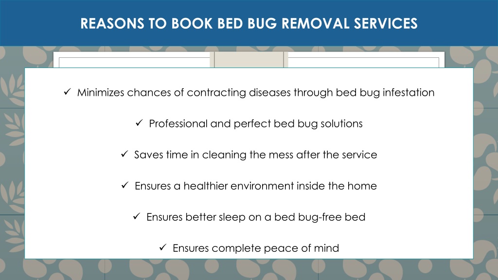 Ppt Reasons To Book Bed Bug Removal Services Powerpoint Presentation