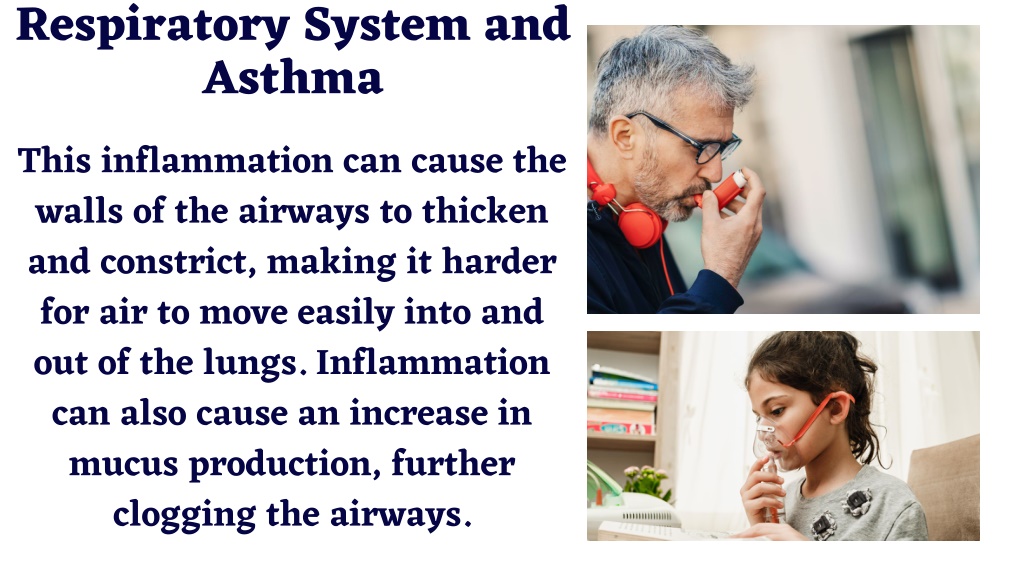 PPT - The Anatomy and Physiology of Respiratory System and the ...