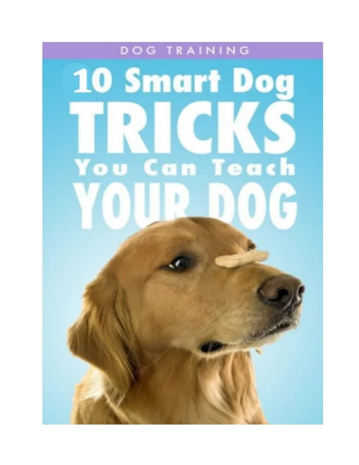 PPT Best Dogs Training Tips PowerPoint Presentation, free download