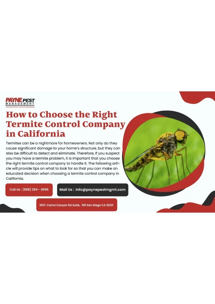 PPT - TERMITE CONTROL EXPERTS Professional Pest Control Company ...