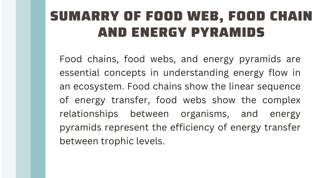 Ppt A Comprehensive Guide To Ecosystems Food Chains Food Webs And Energy Pyramids