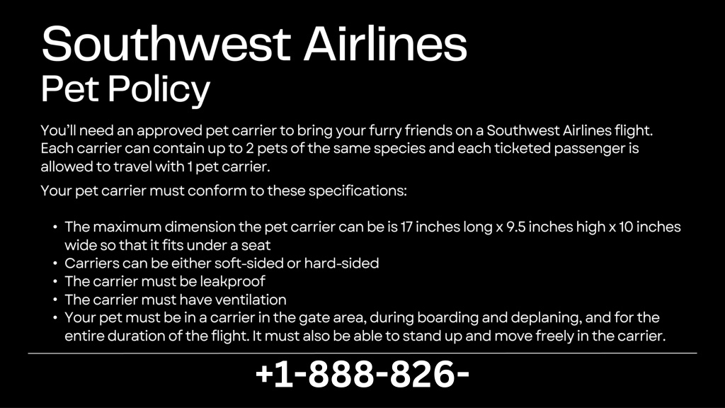 PPT Southwest Airlines Pet Policy What You Need To Know Just Dial 1