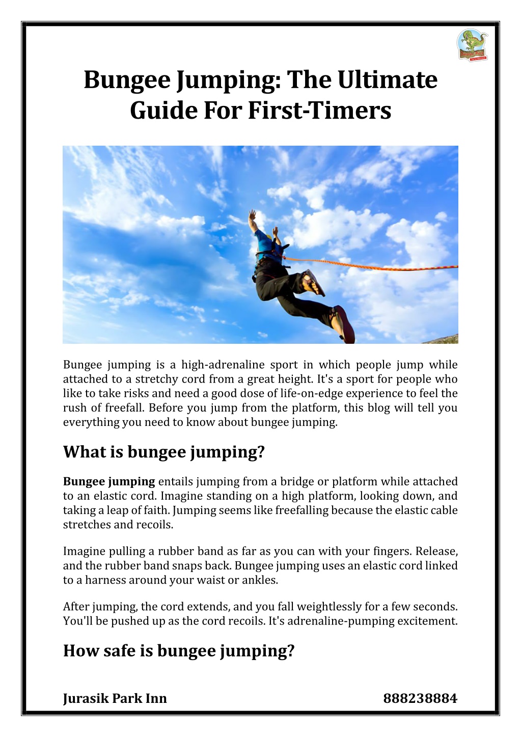 The Complete Guide to Bungee Jumping