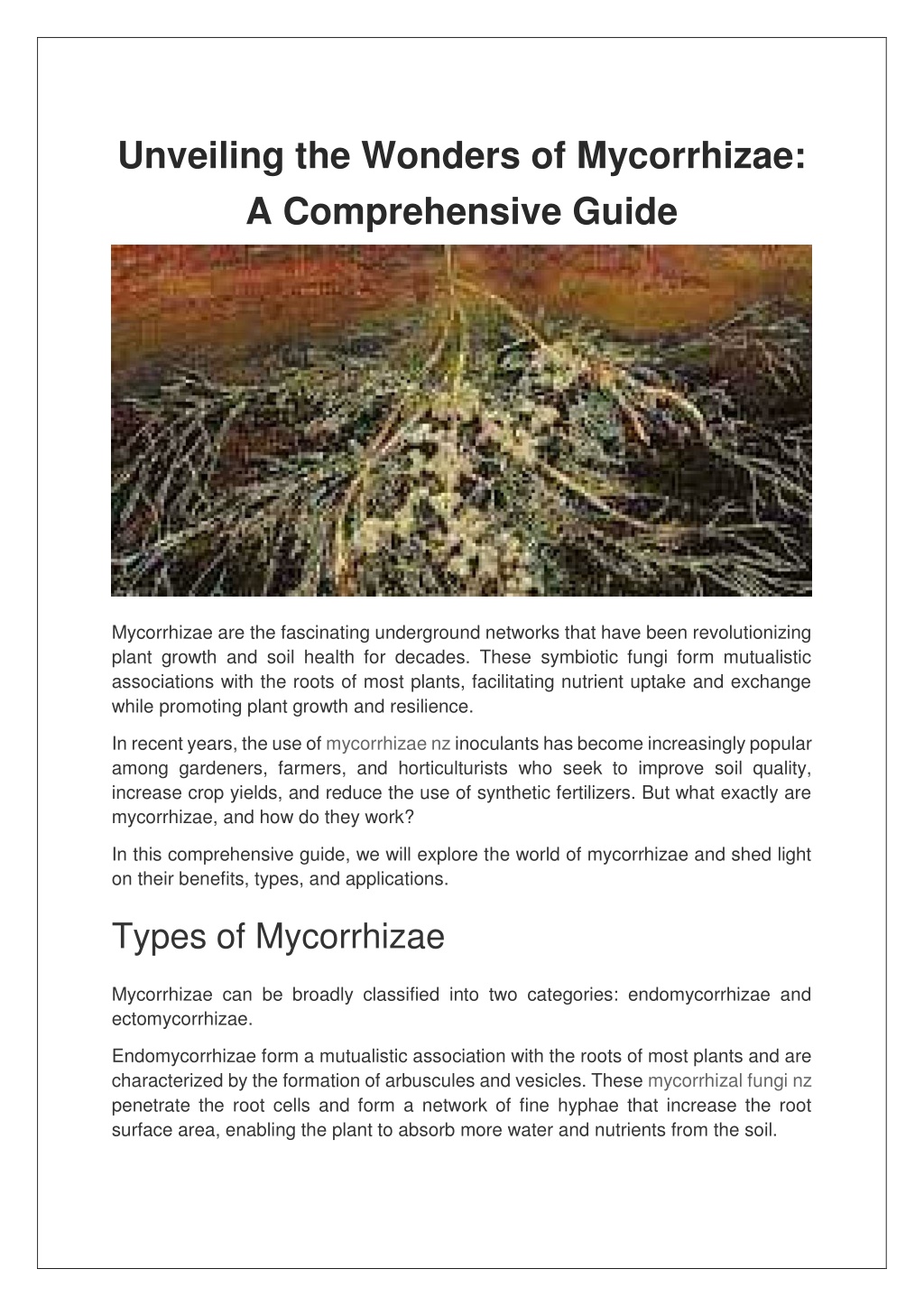 PPT - Unveiling the Wonders of Mycorrhizae A Comprehensive Guide 