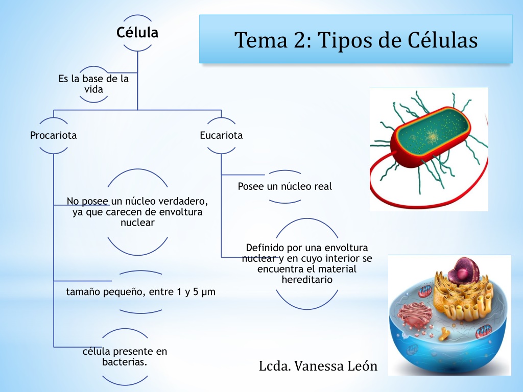 PPT - La Célula PowerPoint Presentation, Free Download - ID:12197523