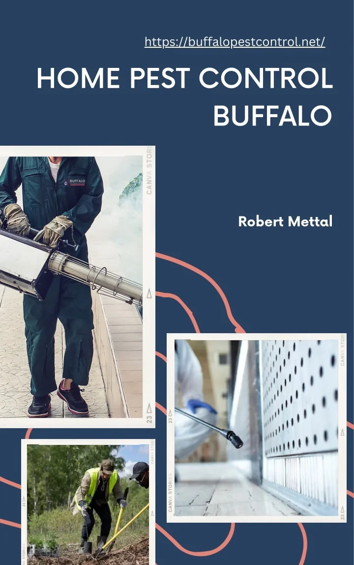 PPT home pest control buffalo PowerPoint Presentation, free download