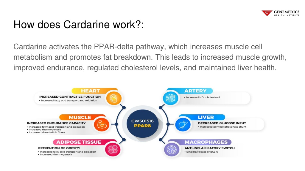 PPT - HEALTH LIBRARY Cardarine (GW-501516) PPT PowerPoint Presentation