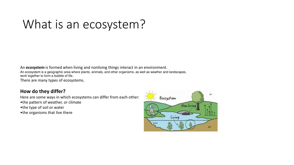 PPT - ecosystems PowerPoint Presentation, free download - ID:12221386