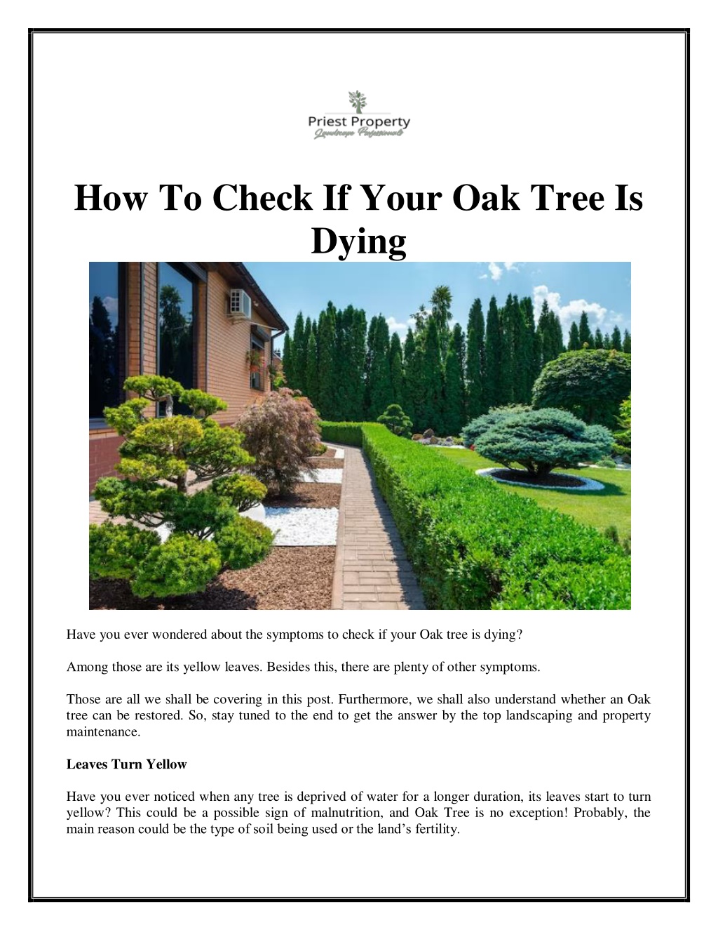 PPT How To Check If Your Oak Tree Is Dying Priest Property