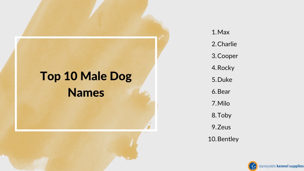 ppt-best-dog-names-for-male-and-female-slaneyside-kennels