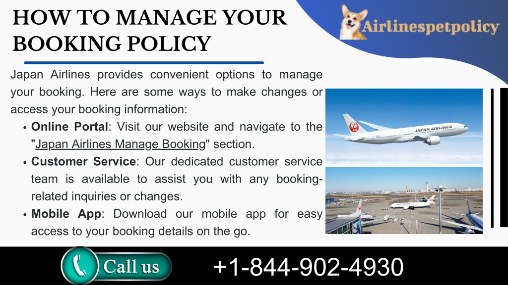 PPT - Japan Airlines Manage Booking policy PowerPoint Presentation ...