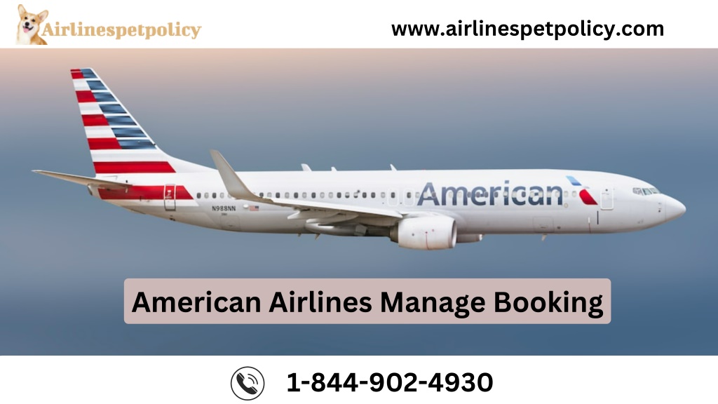 PPT American Airlines Manage Booking PowerPoint Presentation, free