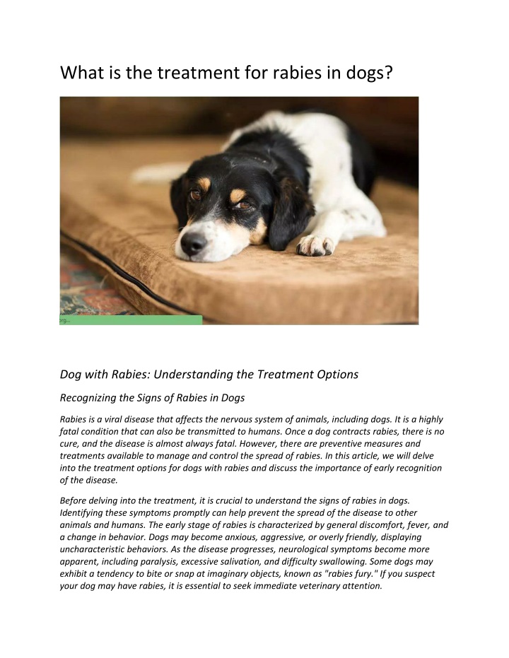 Ppt - What Is The Treatment For Rabies In Dogs? Powerpoint Presentation 