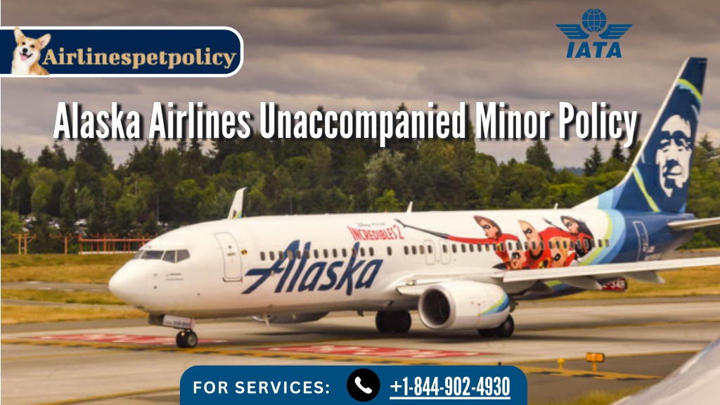 ppt-alaska-airlines-unaccompanied-minor-policy-powerpoint-presentation-id-12268186