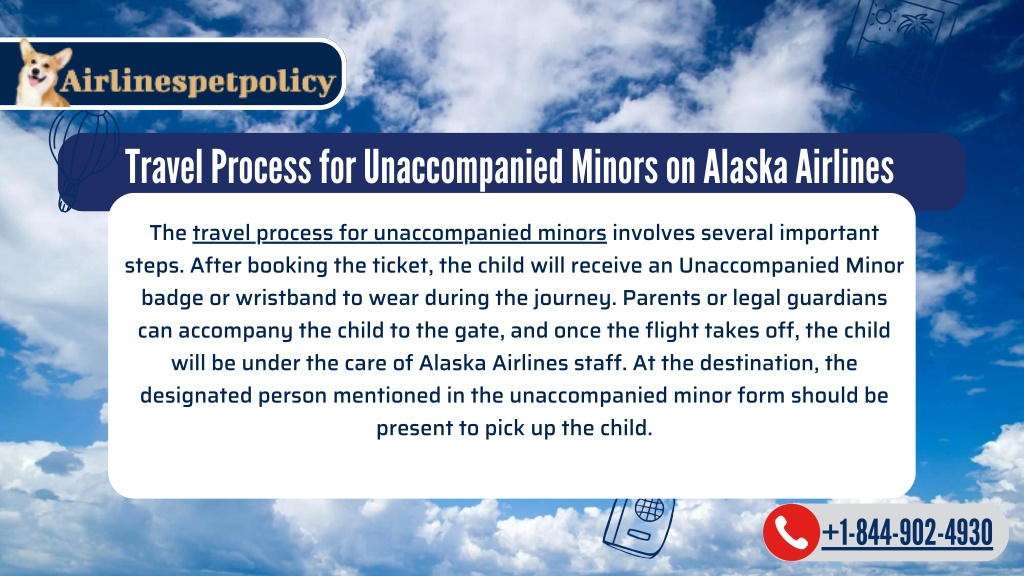 PPT Alaska Airlines Minor Policy PowerPoint