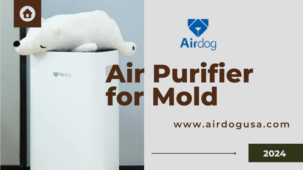 PPT Top Air Purifier for Mold Eliminate Mold Spores with Airdog's