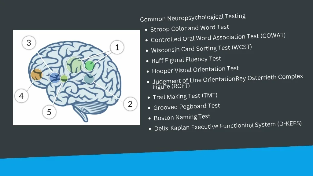 Neuropsychologic Testing PPT - Neuropsychological Testing - Cognifit PowerPoint Presentation ...
