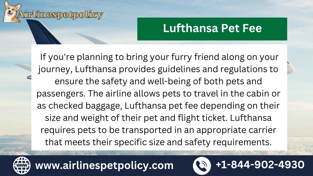 PPT Lufthansa Airlines Pet Policy PowerPoint Presentation, free