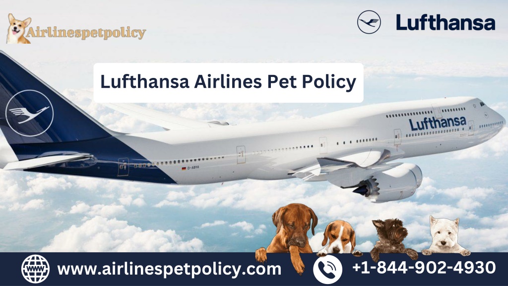 PPT Lufthansa Airlines Pet Policy PowerPoint Presentation, free