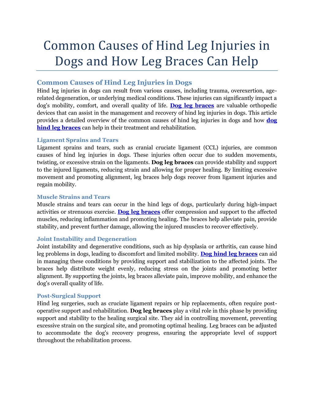 ppt-common-causes-of-hind-leg-injuries-in-dogs-and-how-leg-braces-can