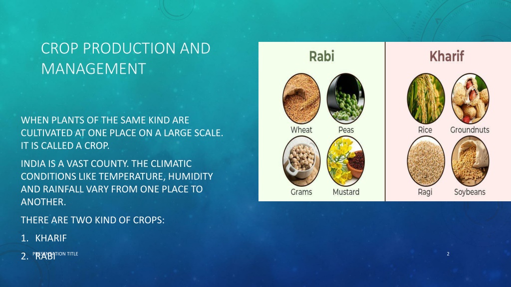 PPT - Crop Production PowerPoint Presentation, Free Download - ID:12361341