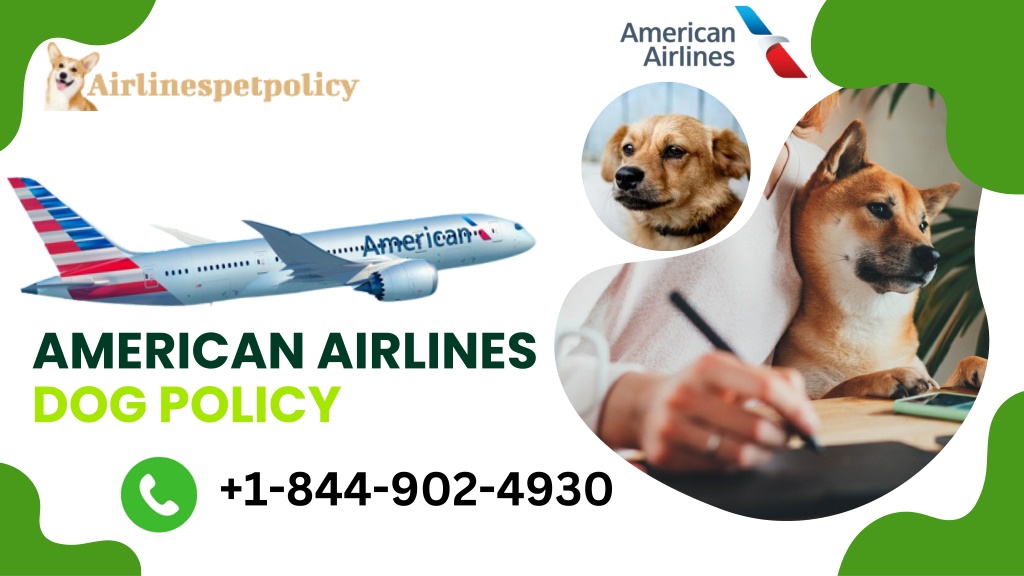 PPT American Airlines Dog Policy PowerPoint Presentation Free 