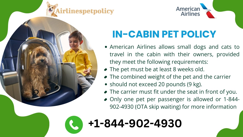 PPT American Airlines Dog Policy PowerPoint Presentation Free 