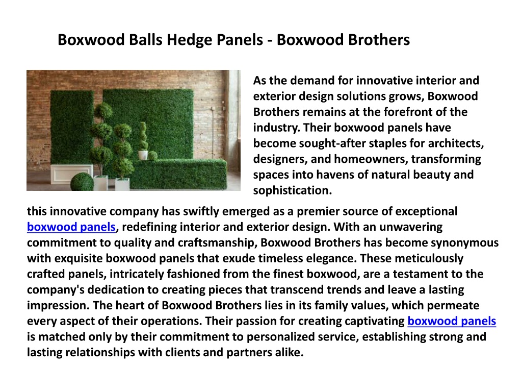 PPT - Products - Boxwood Panel - Boxwood Hedge Panels - Boxwood ...