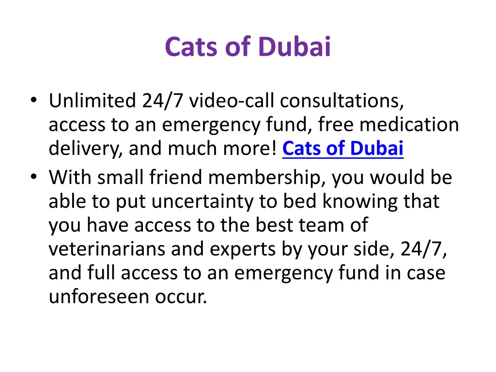 PPT Cats of Dubai PowerPoint Presentation, free download ID12423808