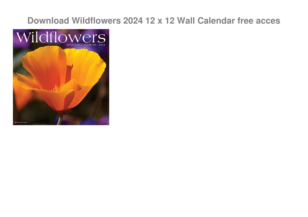 PPT - Download Wildflowers 2024 12 x 12 Wall Calendar free acces