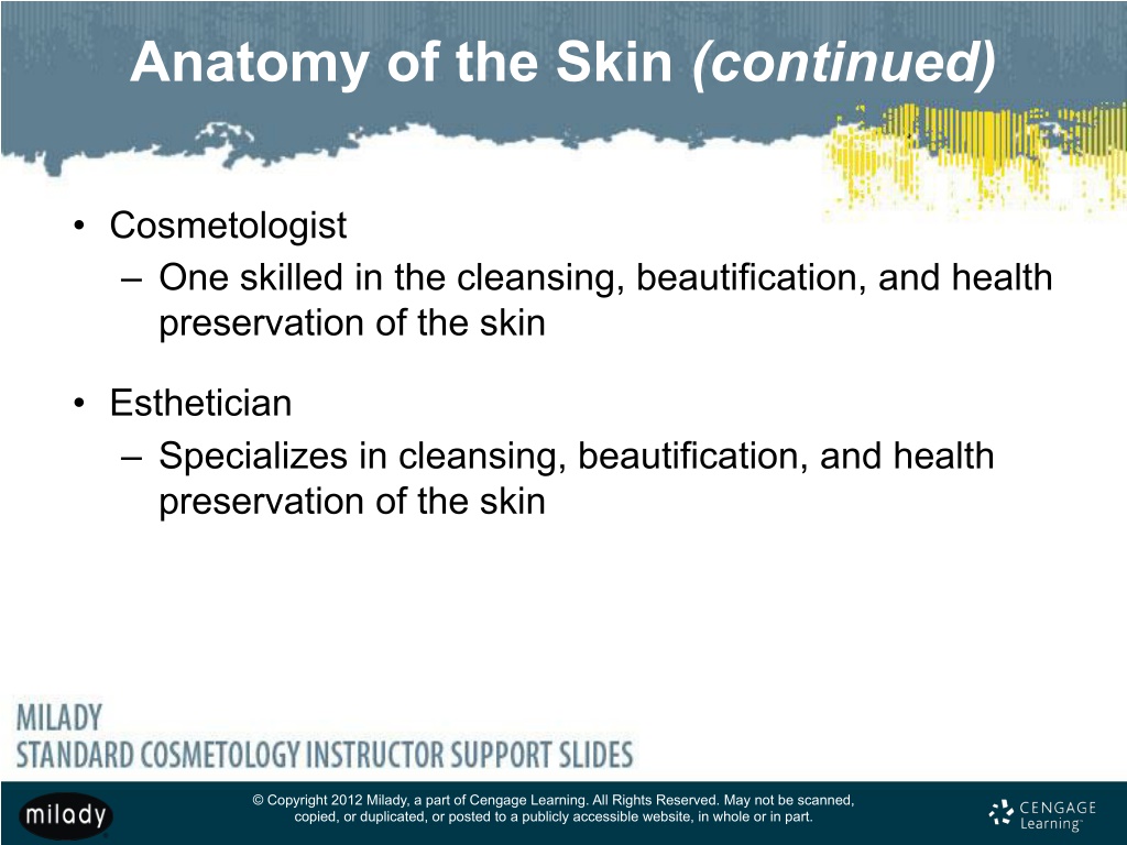 PPT - Chapter 7 Skin Structure, Growth, And Nutrition PowerPoint ...