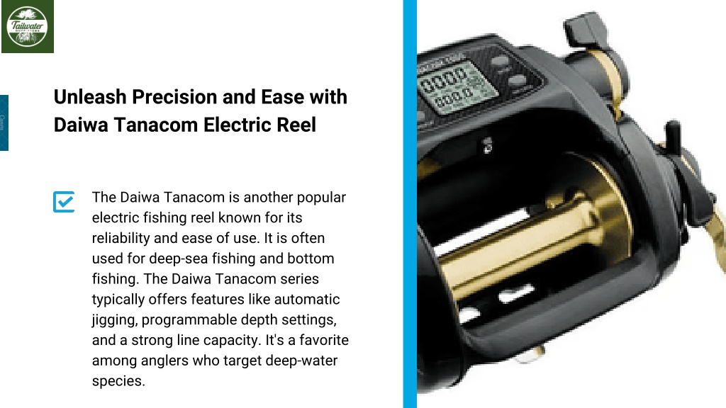 PPT - Power Up Your Saltwater Adventures with Electric Fishing Reels  PowerPoint Presentation - ID:12513463