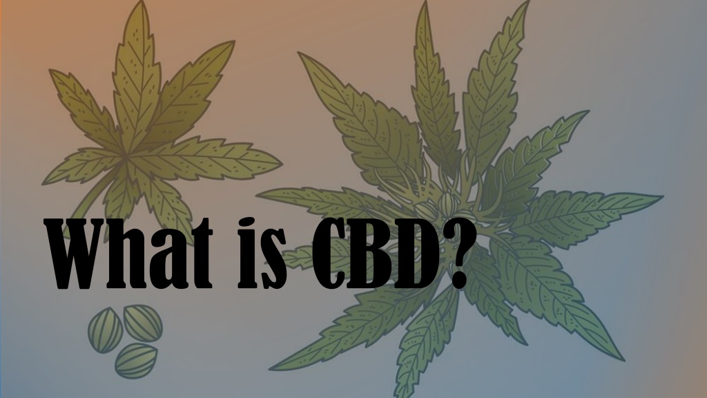 PPT - What Is CBD PowerPoint Presentation, Free Download - ID:12523856