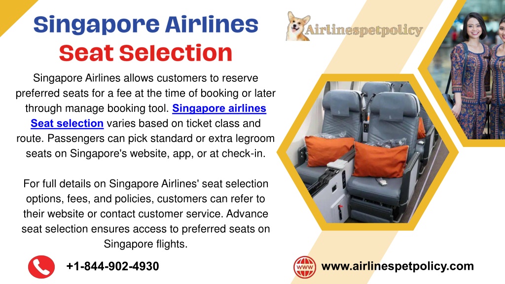 PPT How Do I Choose My Seat On Singapore Airlines PowerPoint 