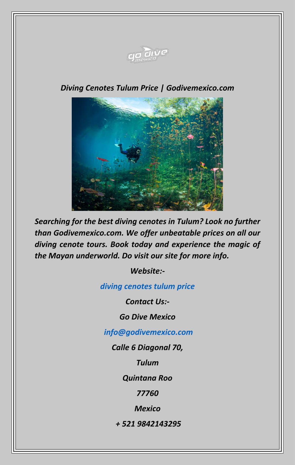 diving cenotes tulum price