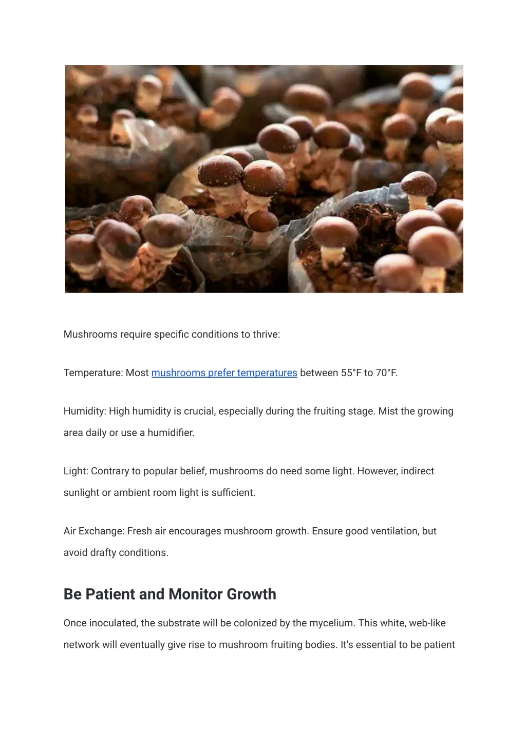 PPT - Top Tips For Growing Mushrooms At Home PowerPoint Presentation ...