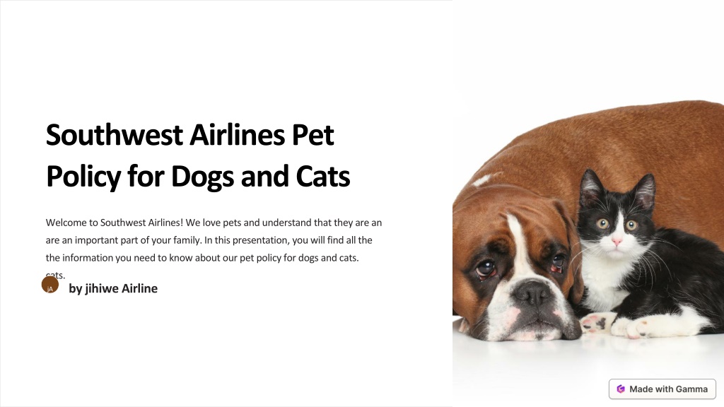 PPT SouthwestAirlinesPetPolicyforDogsandCats PowerPoint