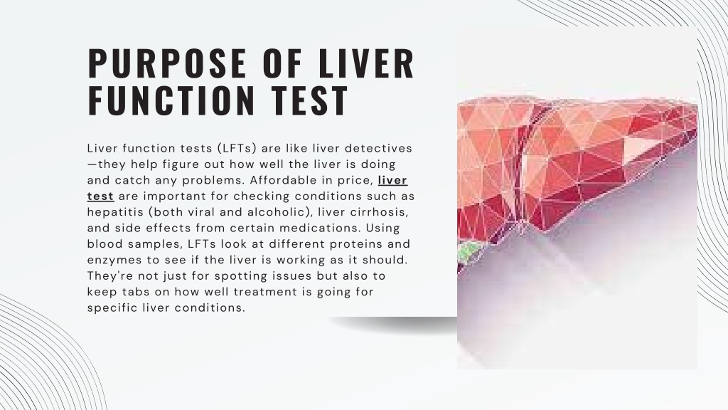 ppt-liver-function-test-purpose-types-and-preparation-powerpoint