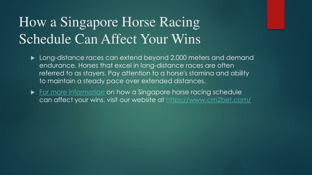 PPT How a Singapore Horse Racing Schedule Can Affect Your Wins