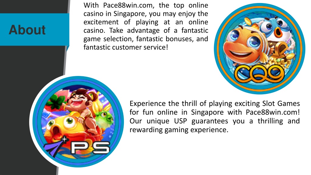 Biggest online casino wins