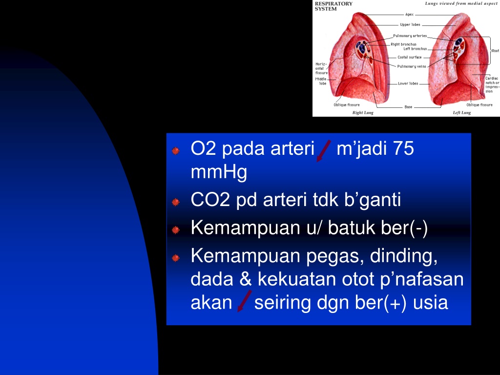 PPT - 1-2-konsep-dasar-gerontik PowerPoint Presentation, Free Download ...