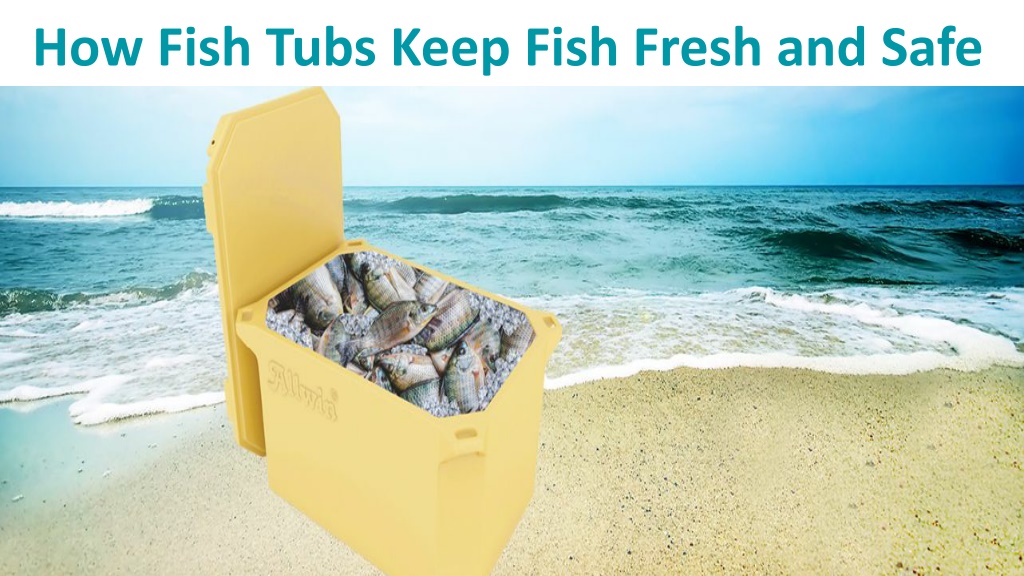 PPT - How To Keep Fish Fresh and Safe PowerPoint Presentation