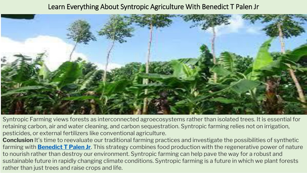 PPT - Learn Everything About Syntropic Agriculture With Benedict T ...