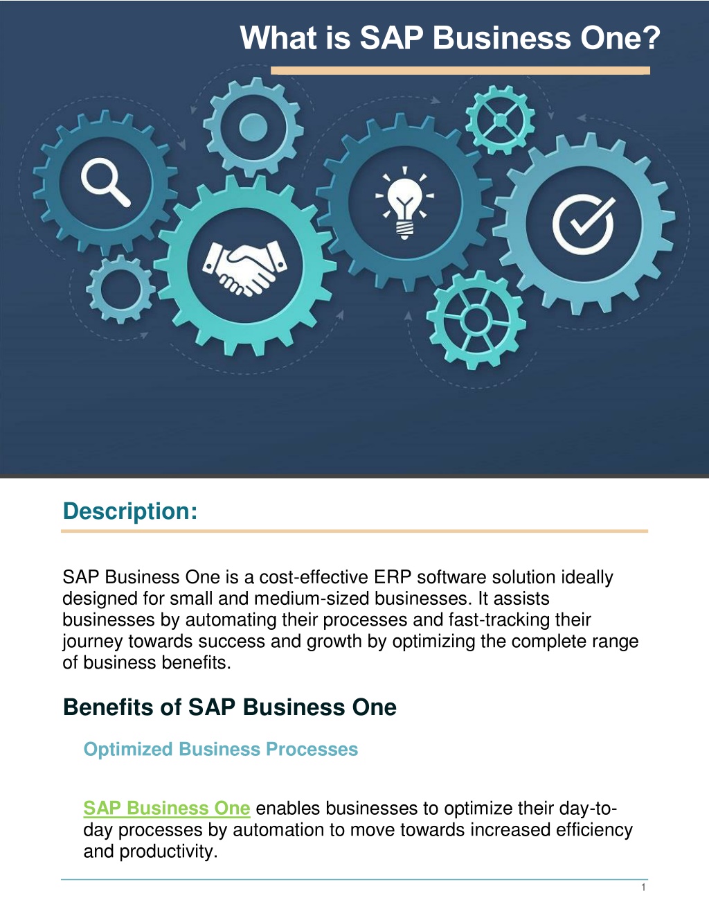 SAP for Small Business: SAP Business One Software