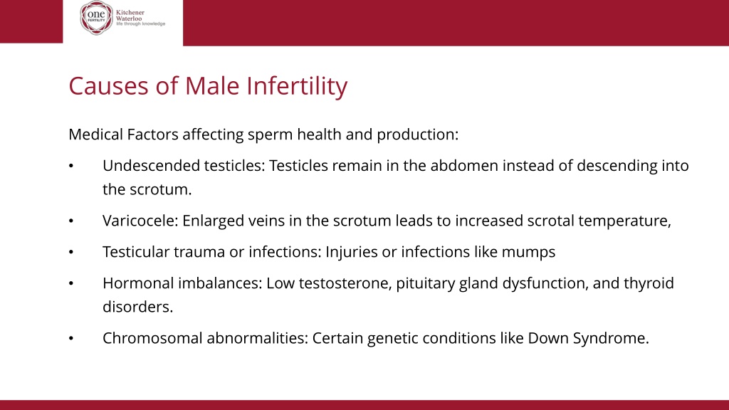Ppt Male Infertility Causes And Treatment Powerpoint Presentation Free Download Id12808043 5345