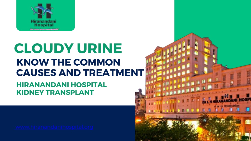 Ppt Cloudy Urine Know The Common Causes And Treatments Hiranandani