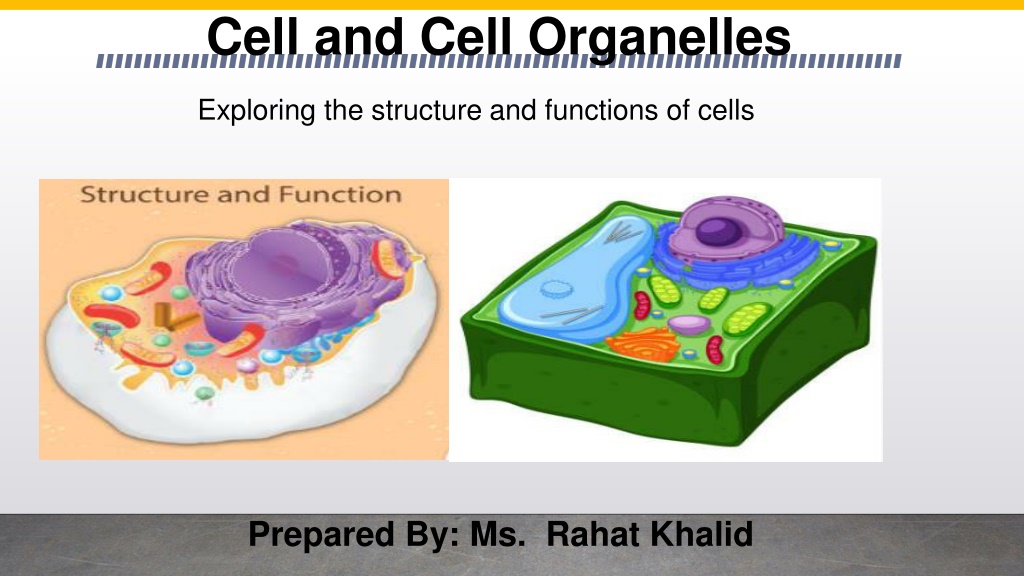 PPT - biology (8th science) cell and cell organelles PowerPoint ...