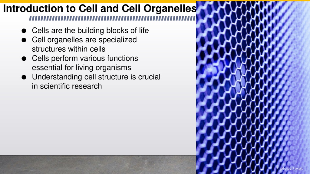 PPT - biology (8th science) cell and cell organelles PowerPoint ...