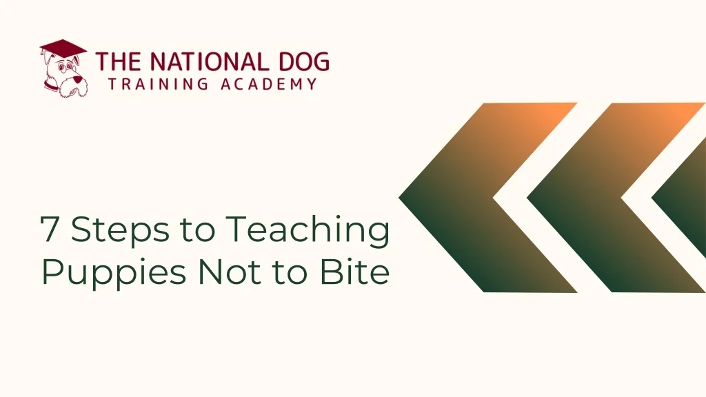 View of PPT - 7 Steps to Teaching Puppies Not to Bite PowerPoint Presentation ...